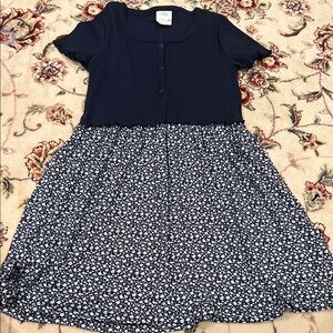 Girls Zara Floral Blue and White Dress Size 9